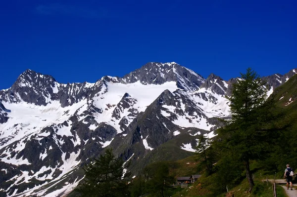 Pegunungan Alpen Oetztal — Stok Foto