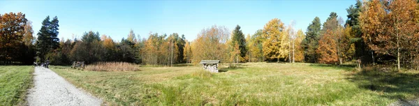 Panorama-Wald im Herbst-4 — Stockfoto