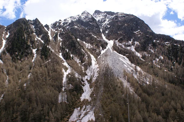 Yüksek dağlarda bahar — Stok fotoğraf