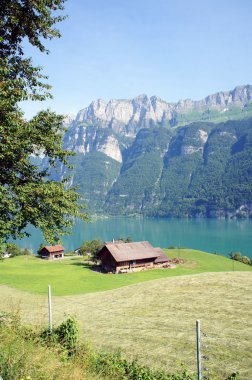 dağ gölü walensee üzerinde göster