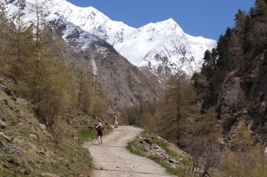 Baharda hiking dağ