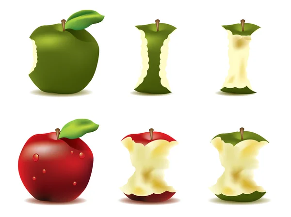 令人垂涎的新鲜苹果矢量 — 图库矢量图片