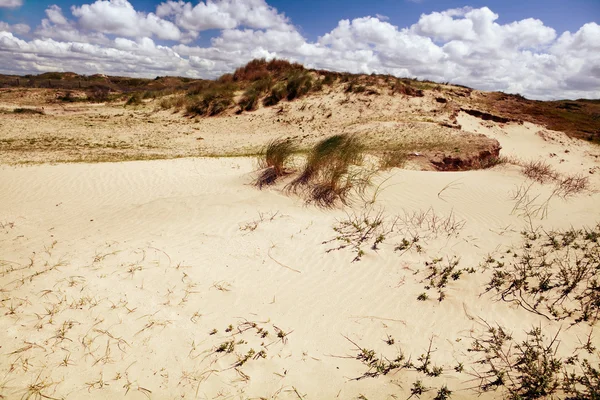 Голландская "пустыня" — стоковое фото