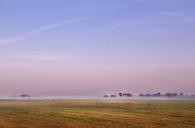 sunrise adlı Hollanda çiftlik