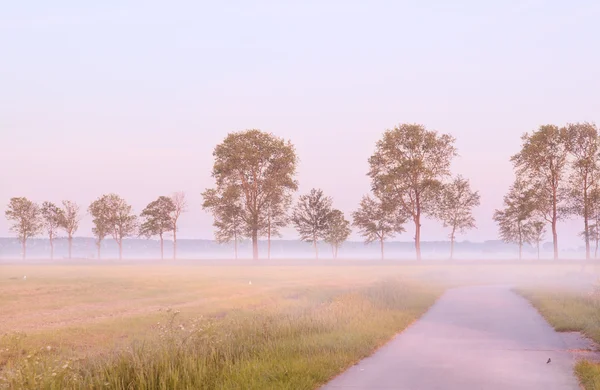雾的早晨在格罗宁根 — 图库照片