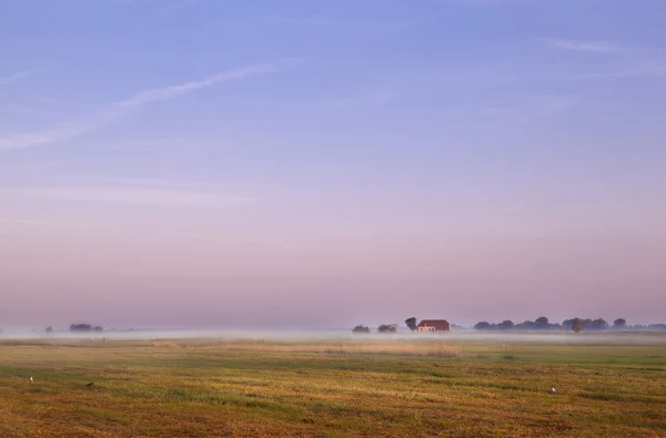 Dutch farm at sunrise — Stock Photo, Image