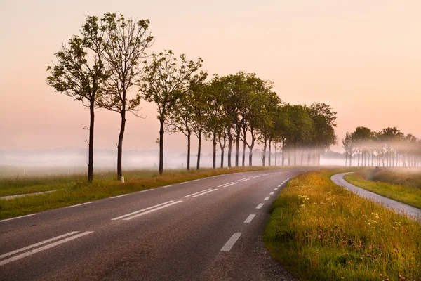 Road in the fog — Stock Photo, Image