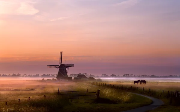 Molino de viento en el pasto al amanecer — Foto de Stock