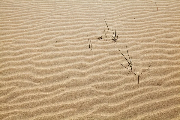 Изогнутая текстура песка — стоковое фото