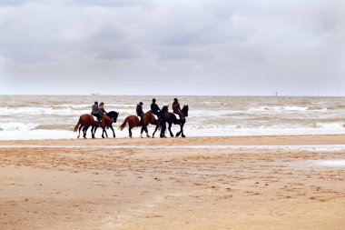 plajda az at nalı