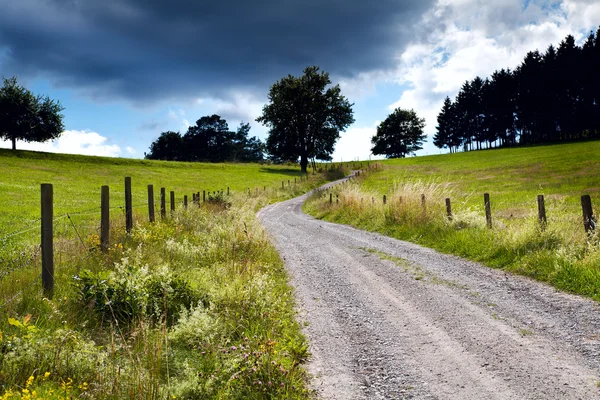 Landsbygden road med staket — Stockfoto
