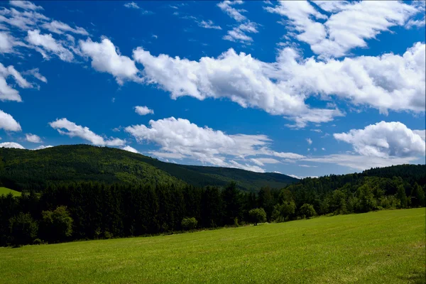 Letní hory pokryté zelenými lesy — Stock fotografie
