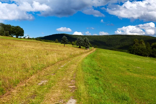 Rural road in the mountains — Stock Photo, Image