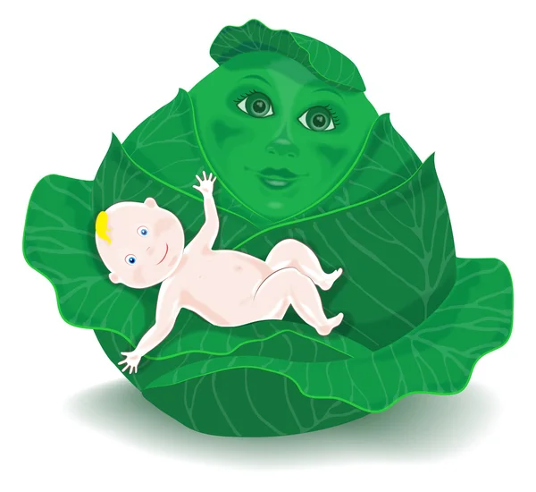 Мультфильм о младенце в капусте — стоковый вектор