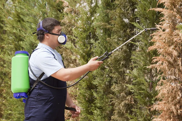 Spraying insects pest control — Stock Photo, Image