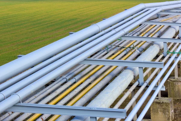Pipeline on green field — Stock Photo, Image
