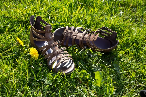 草地上的女人鞋 — 图库照片