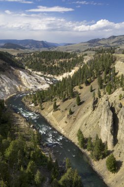 Yellowstone clipart