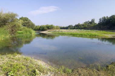 ebro Nehri'nin kıyısında