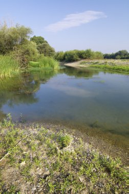 ebro Nehri'nin kıyısında