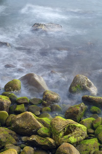 페블 해변 — 스톡 사진