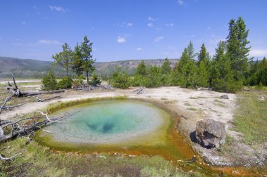 Yellowstone