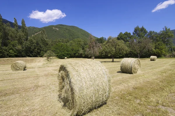 stock image Straw bales