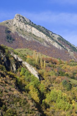 Pyrenees