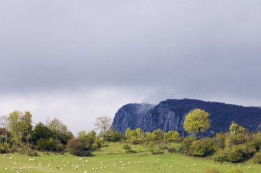 Panorama mountain