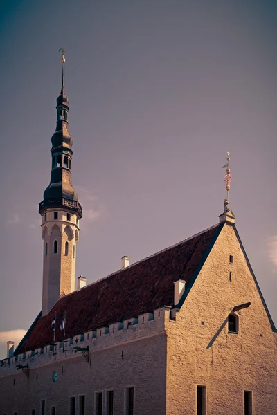 Tallinn Guildhall — Zdjęcie stockowe