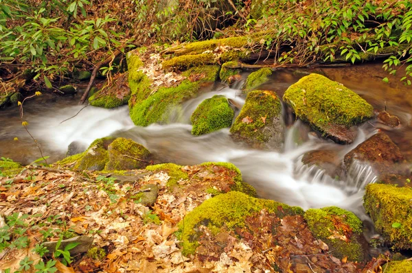 Appalachian Stream in the Spring — Stock Photo, Image