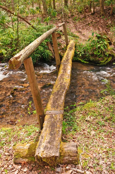 Bir dağ dere üzerinde rustik yaya köprüsü — Stok fotoğraf