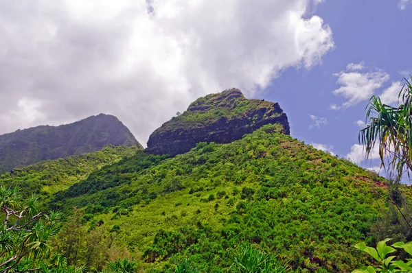 Grüne Gipfel auf einer tropischen Insel — Stockfoto
