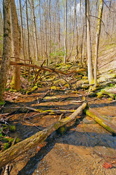 Mountain creek v předjaří — Stock fotografie