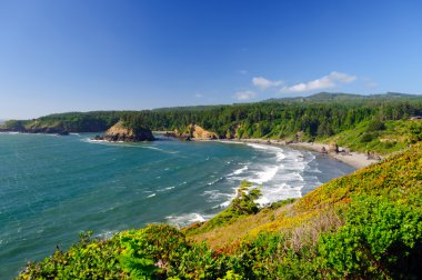 Breaking Waves on Coastal Beach clipart