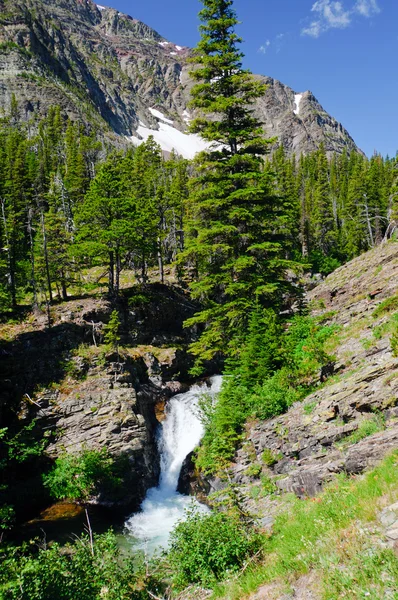 山、滝し、アメリカ西部でパインズ — ストック写真