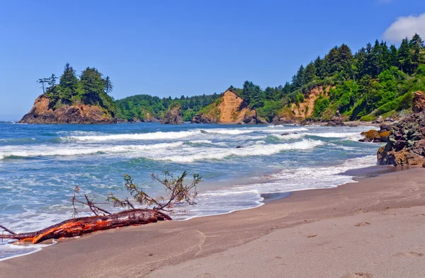 California coastal beach in Summer — Stock Photo, Image