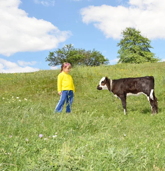 The Child and calf — Stock Photo, Image