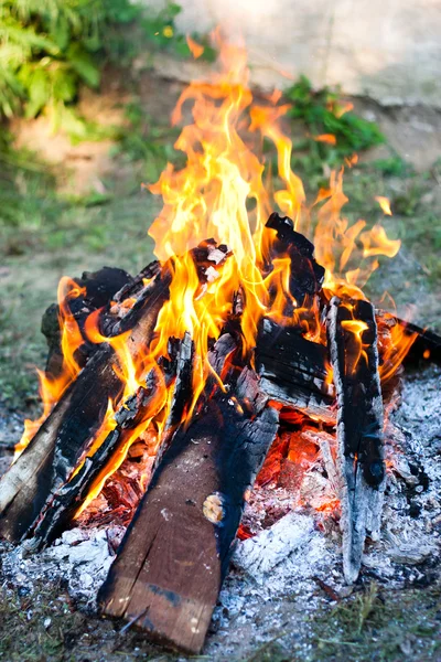 stock image Campfire in nature