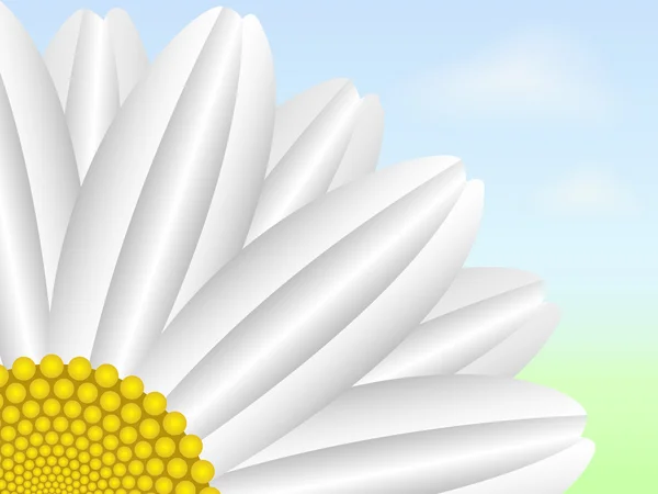 Daisy blomman — Stock vektor