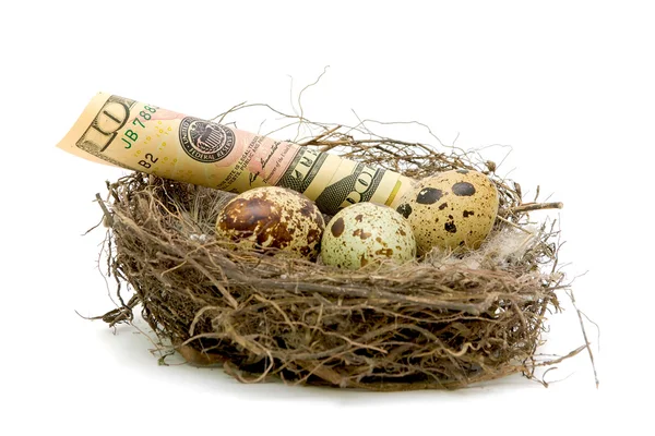 Geld liggen in een nest met eieren — Stockfoto