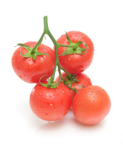 Kilka pomidorów zbliżenie na białym tle — Zdjęcie stockowe