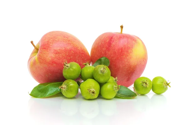 Äpfel auf weißem Hintergrund — Stockfoto