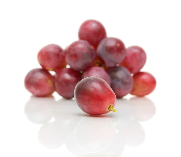 Primeros planos de las uvas sobre fondo blanco — Foto de Stock