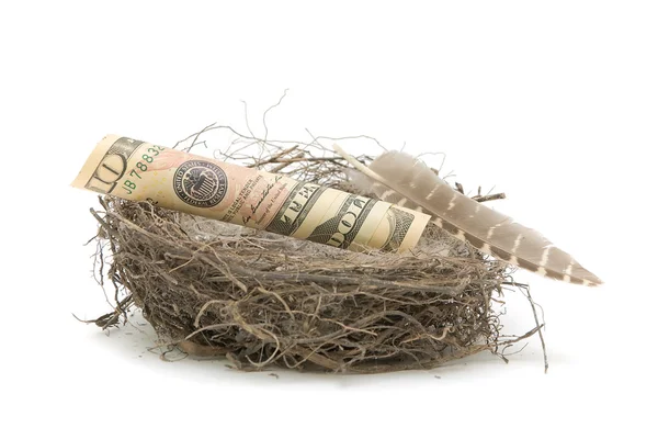 Деньги в птичьем гнезде на белом фоне — стоковое фото