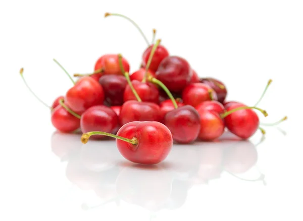 Cherry on white background close-up — Stock Photo, Image
