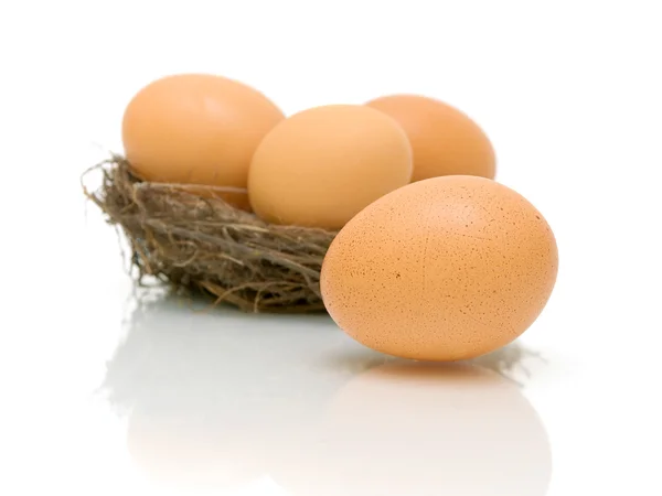 Jaja w gnieździe na białym tle — Zdjęcie stockowe