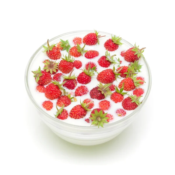 Fresas silvestres en un tazón con leche — Foto de Stock