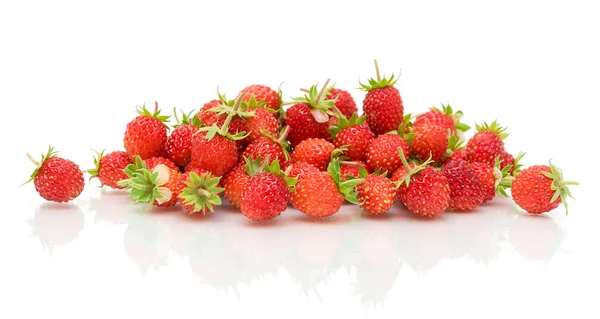 Wilde aardbeien op een witte achtergrond — Stockfoto