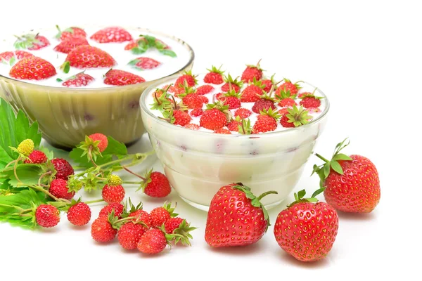 Garten-Erdbeeren und Walderdbeeren auf weißem Hintergrund — Stockfoto